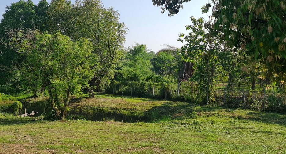 For sale land in Mueang Chiang Rai, Chiang Rai