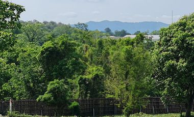For sale land in Mueang Chiang Rai, Chiang Rai
