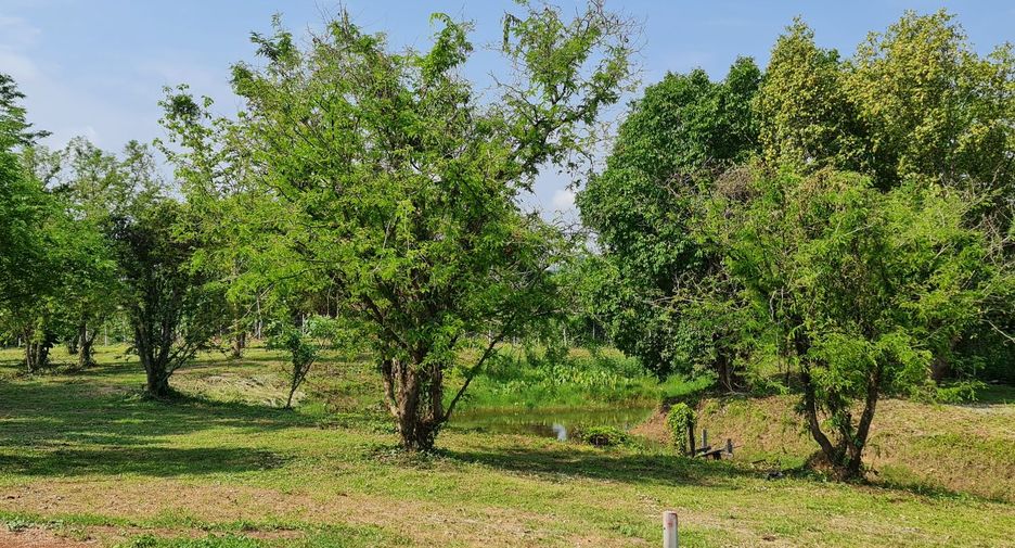 For sale land in Mueang Chiang Rai, Chiang Rai
