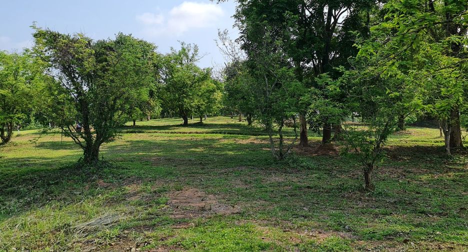 For sale land in Mueang Chiang Rai, Chiang Rai