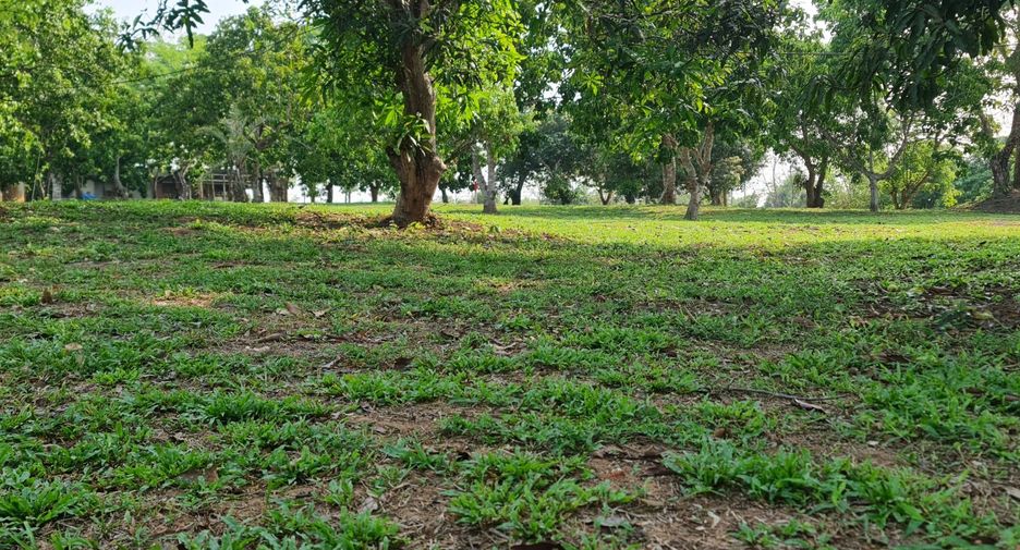 For sale land in Mueang Chiang Rai, Chiang Rai