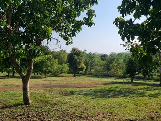 For sale land in Mueang Chiang Rai, Chiang Rai
