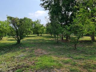 For sale land in Mueang Chiang Rai, Chiang Rai