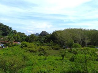 出售 土地 在 Mueang Krabi, Krabi