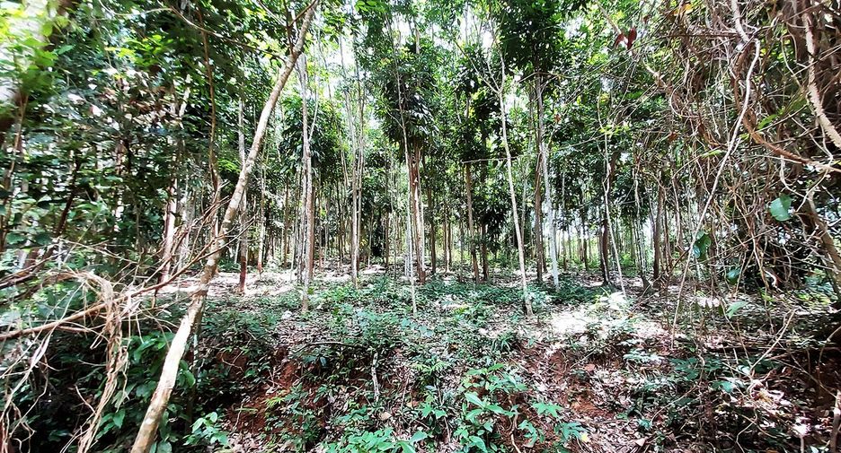 出售 商业空间 在 Klaeng, Rayong