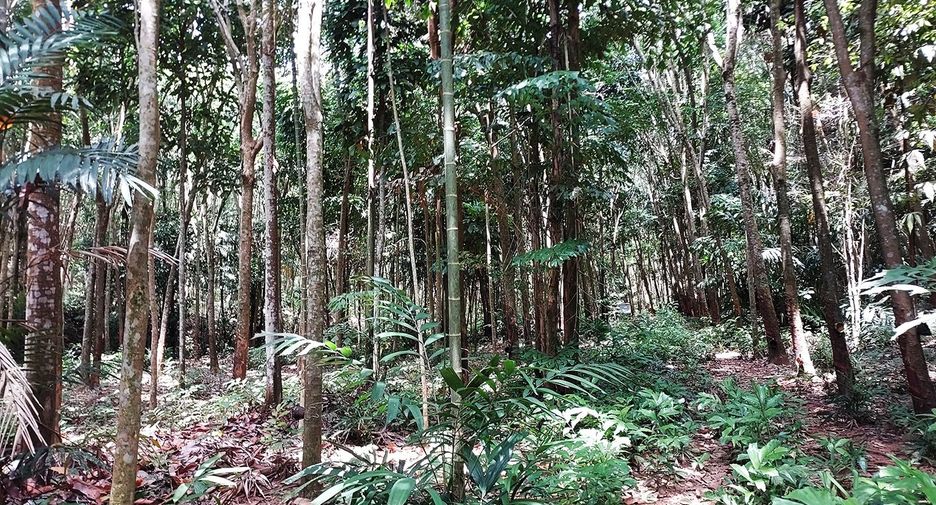 出售 商业空间 在 Klaeng, Rayong
