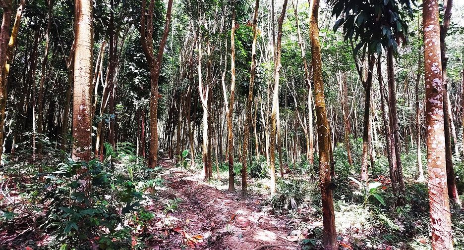出售 商业空间 在 Klaeng, Rayong