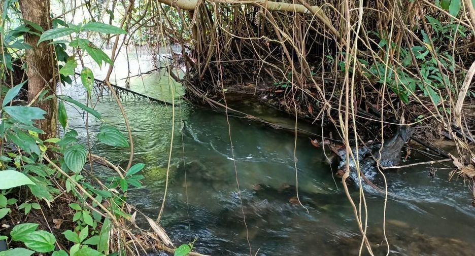 ขาย ที่ดิน ใน เมืองกระบี่, กระบี่