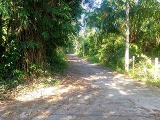 À vendre terrain à Thai Mueang, Phang Nga