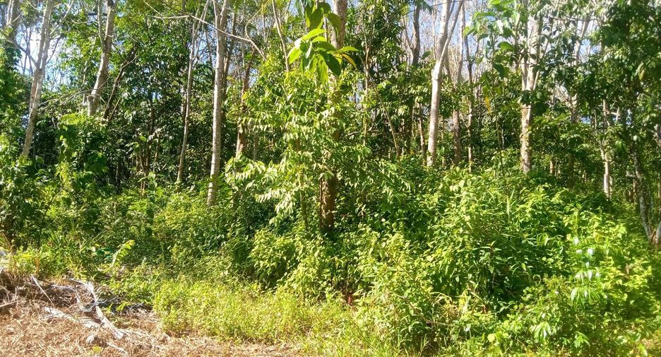Grundstück zum Kauf in Thai Mueang, Phang Nga