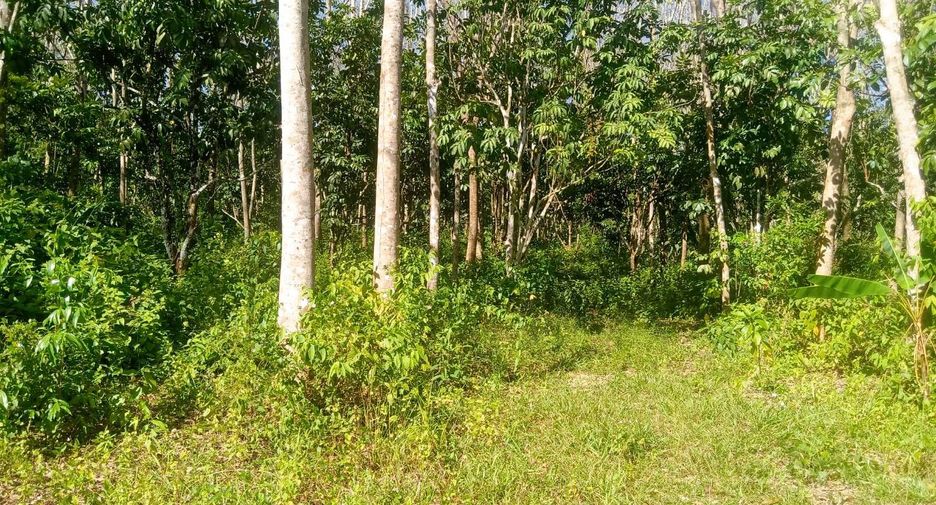 Grundstück zum Kauf in Thai Mueang, Phang Nga