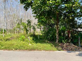 For sale land in Takua Thung, Phang Nga