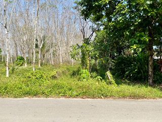 For sale land in Takua Thung, Phang Nga