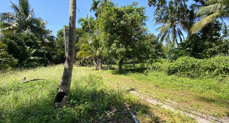 For sale 3 bedrooms house in Ko Chang, Trat