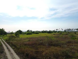 出售 土地 在 Takua Pa, Phangnga