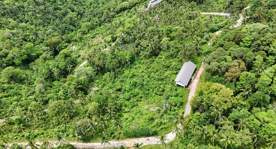 For sale land in Ko Samui, Surat Thani