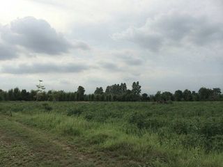 出售 土地 在 Kabin Buri, Prachin Buri