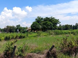 For sale land in Mueang Nong Khai, Nong Khai