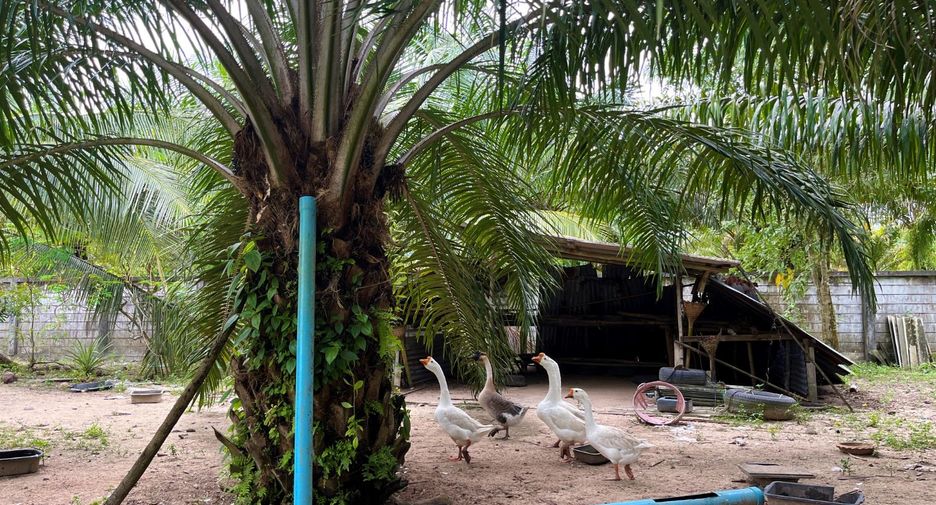 For sale 3 bedrooms house in Thai Mueang, Phang Nga