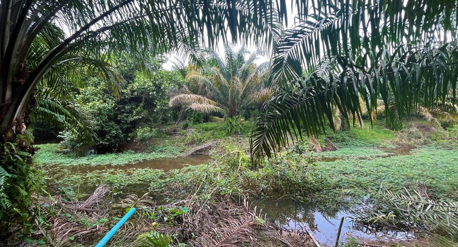 For sale 3 bedrooms house in Thai Mueang, Phang Nga