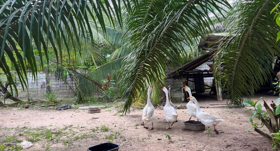 For sale 3 bedrooms house in Thai Mueang, Phang Nga