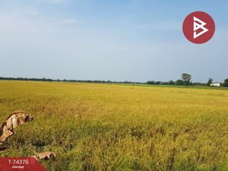 For sale land in Song Phi Nong, Suphan Buri