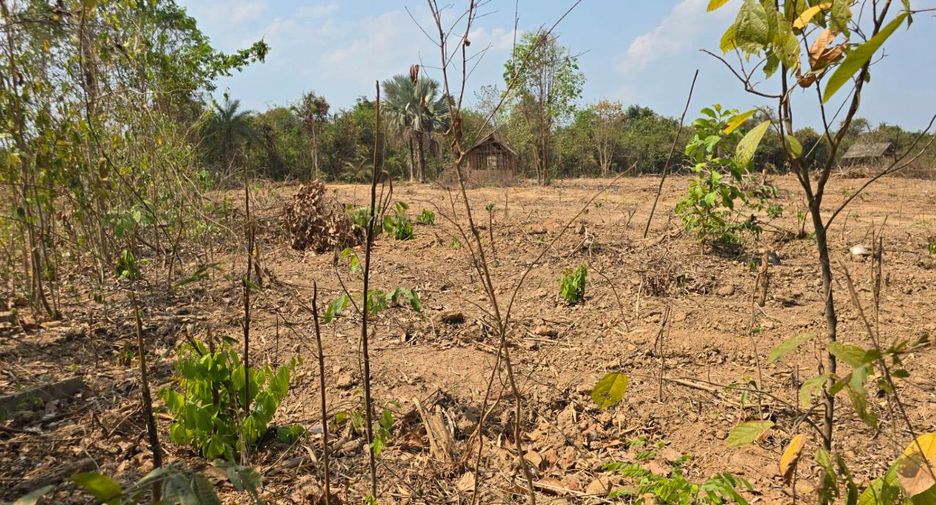 For sale land in Laplae, Uttaradit