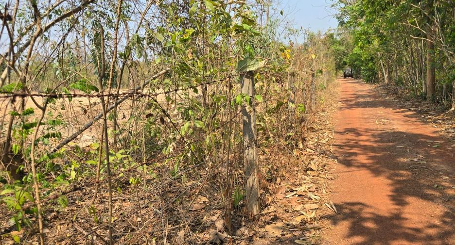 For sale land in Laplae, Uttaradit