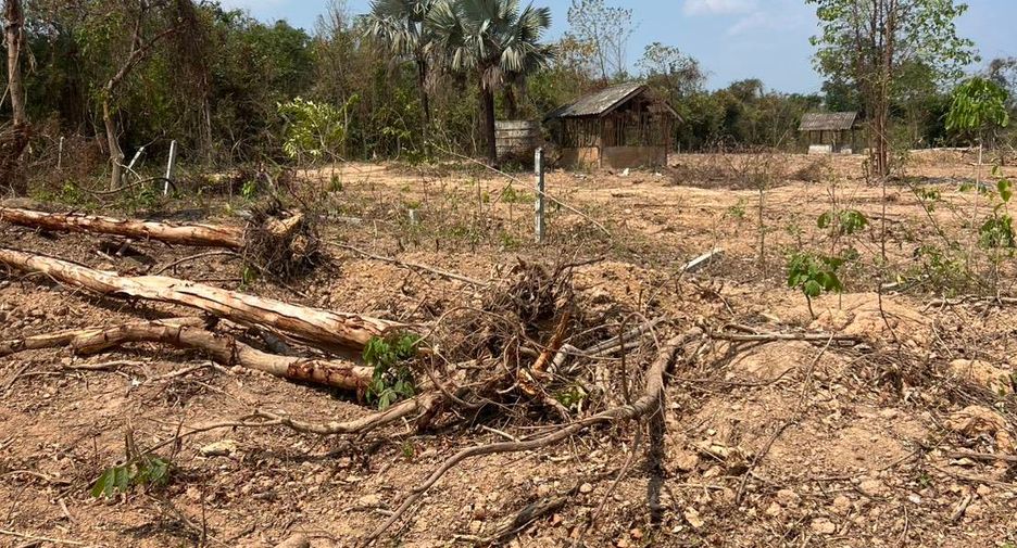 For sale land in Laplae, Uttaradit
