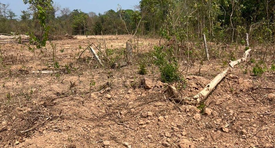For sale land in Laplae, Uttaradit