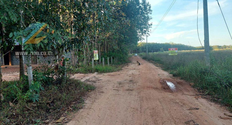 For sale land in Si Wilai, Bueng Kan