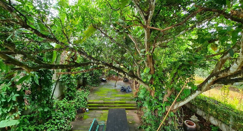 出售 2 卧室 独立屋 在 Mae Rim, Chiang Mai