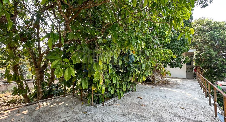 出售 2 卧室 独立屋 在 Mae Rim, Chiang Mai