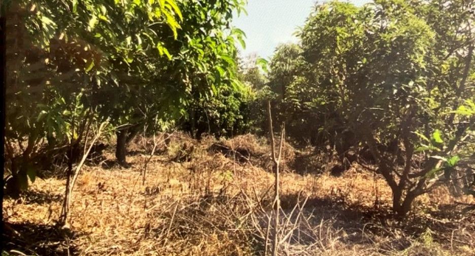 For sale land in Pho Prathap Chang, Phichit