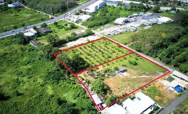 For sale land in Thalang, Phuket
