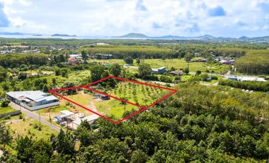 For sale land in Thalang, Phuket