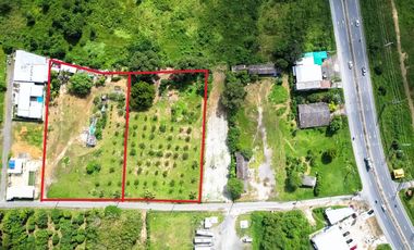 For sale land in Thalang, Phuket