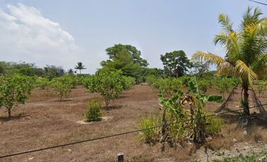 For sale land in Thalang, Phuket