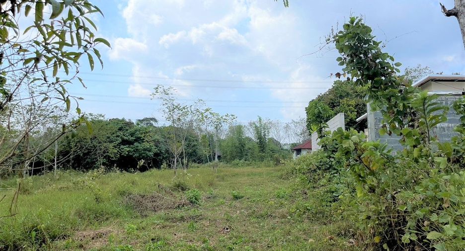 For sale land in Thalang, Phuket