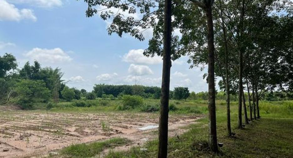 For sale land in So Phisai, Bueng Kan