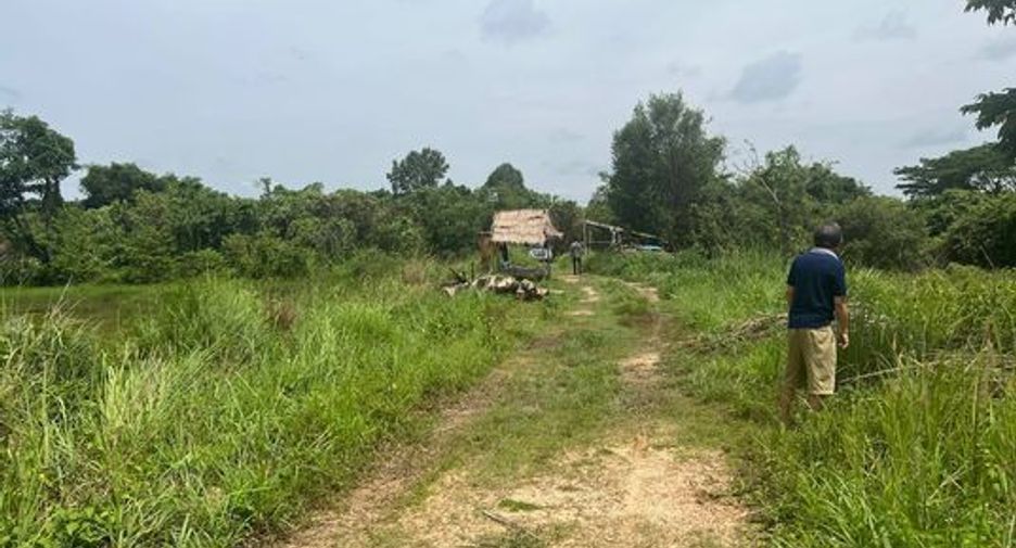 For sale land in So Phisai, Bueng Kan