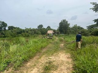 For sale land in So Phisai, Bueng Kan