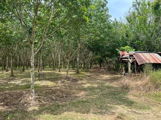 For sale land in So Phisai, Bueng Kan