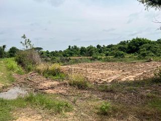 For sale land in So Phisai, Bueng Kan