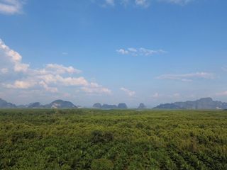 出售 土地 