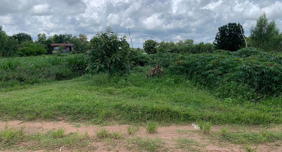 For sale land in Nong Song Hong, Khon Kaen