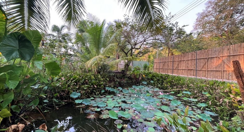 Casa en alquiler y en venta de 2 habitaciones en Mueang Krabi, Krabi