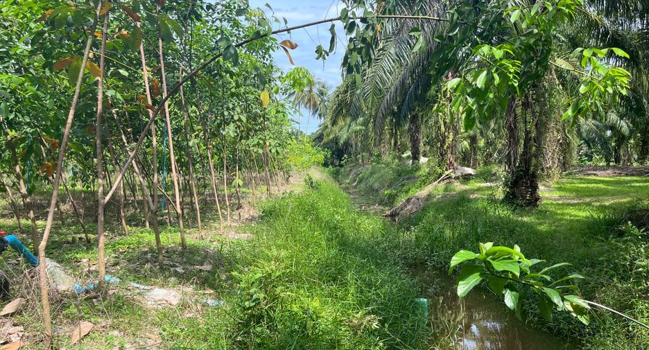 Terreno en venta en Thai Mueang, Phang Nga