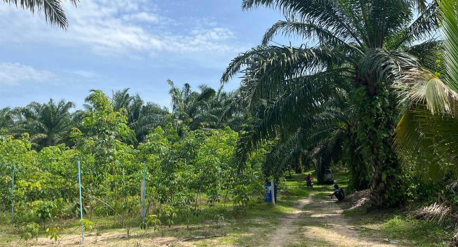 Terreno en venta en Thai Mueang, Phang Nga