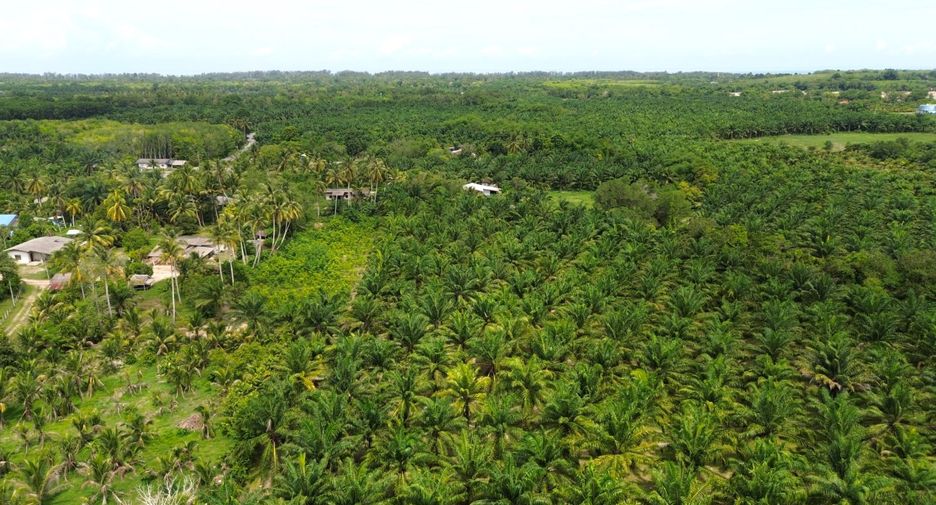 Terreno en venta en Thai Mueang, Phang Nga